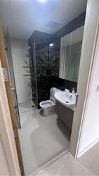 Skies Miltonia (D27), Condominium #499150651